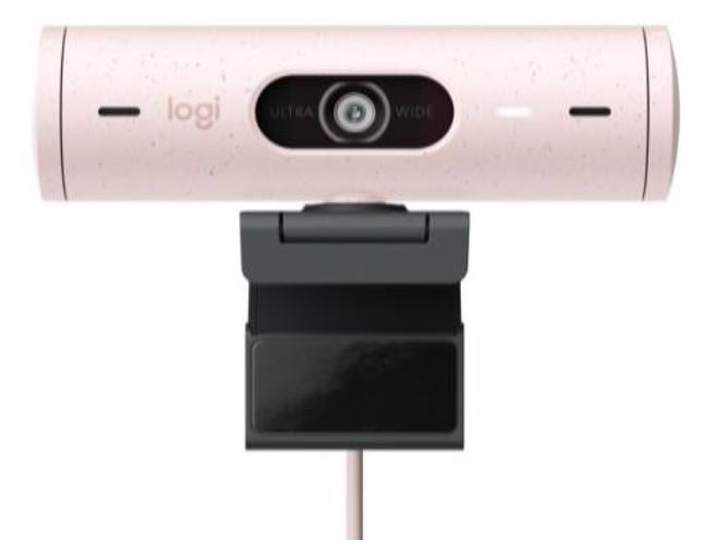 Logitech Brio 500 Webcam - Rose