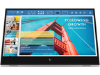 HP E14 G4 Portable Monitor, 14