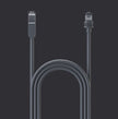 Starlink Mini Ethernet cable